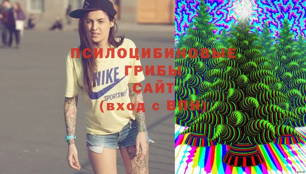 mdpv Козловка